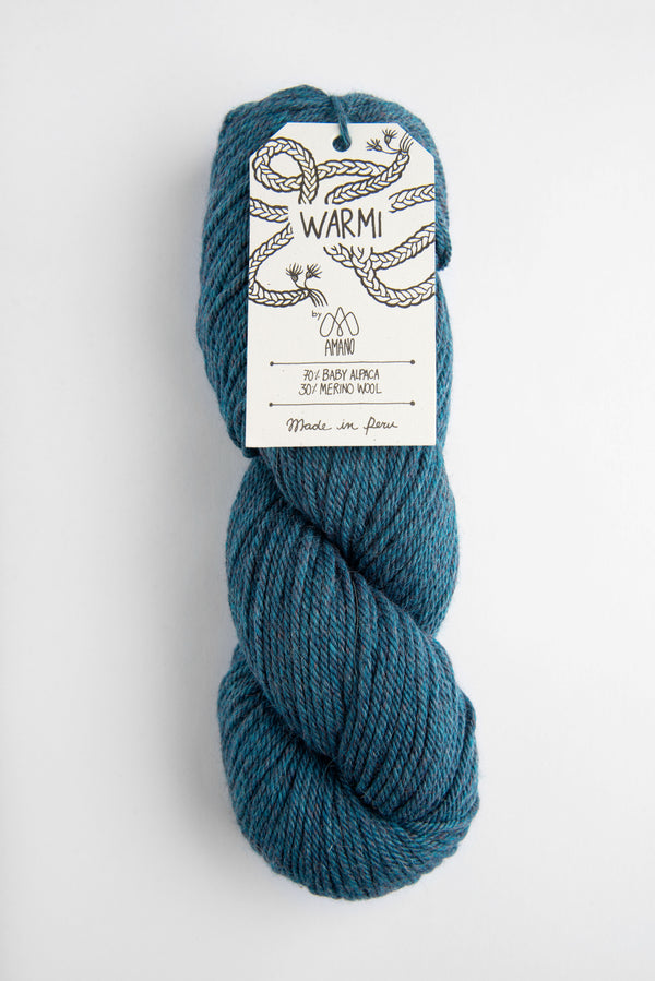 Warmi Yarn- Blue Velvet