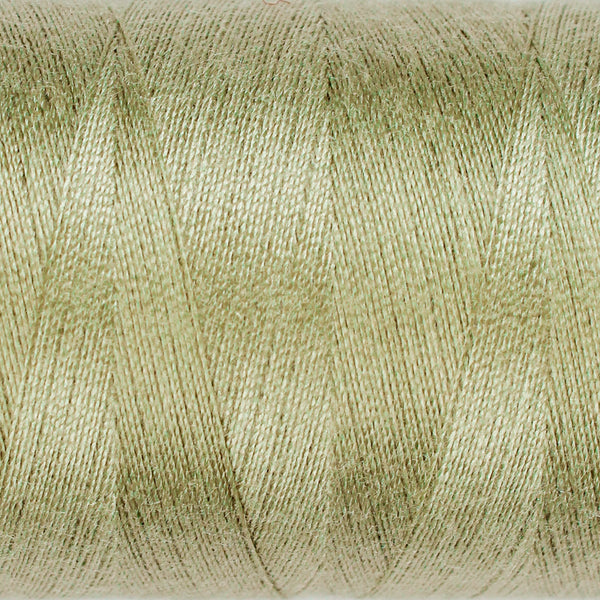 Eucalyptus